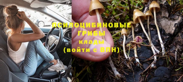 а пвп мука Киреевск